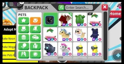 Get all NFR and MFR pets VISUAL SCRIPT PET thumbnail