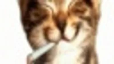 Script preview thumbnail