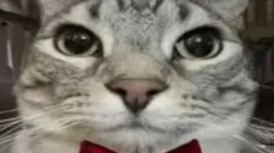 Script preview thumbnail