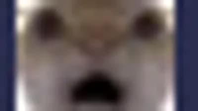 Script preview thumbnail