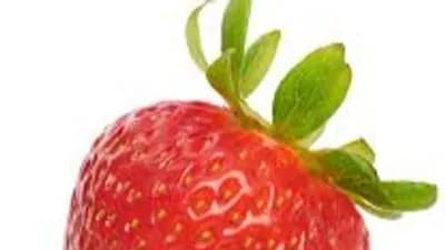 Script preview thumbnail