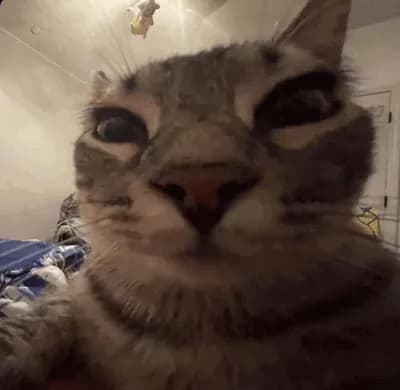 Script preview thumbnail