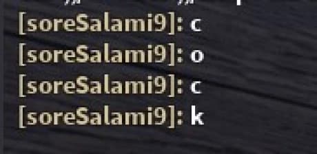 Preview of Roblox Chat Bypasser 2022  (No Unicode)