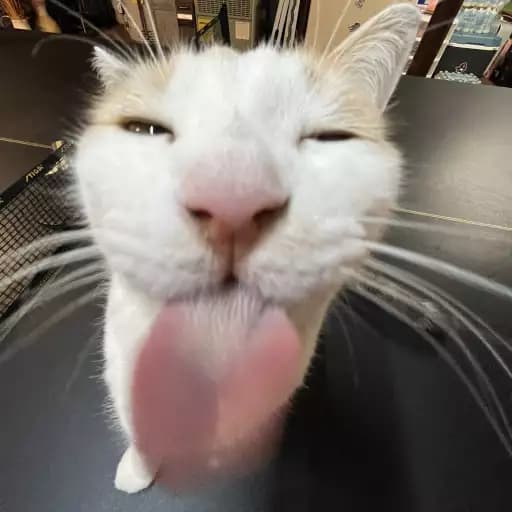 Preview of new meepcity script with fixed stuff