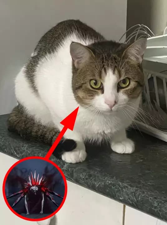 Preview of [OP + Fast] Eto Cats Asura Script