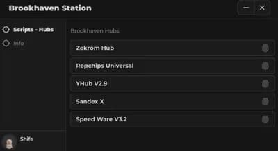 Preview of Brookhaven Station Hub