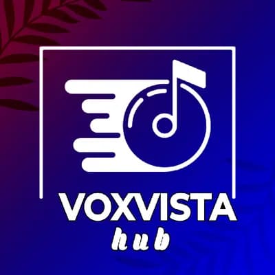 Preview of voxvista hub