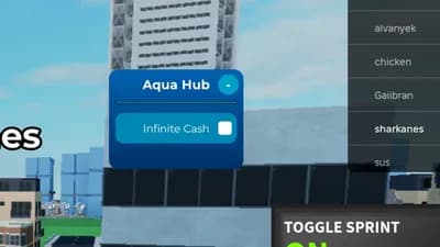 Preview of Infinite Cash [VERY OP!]