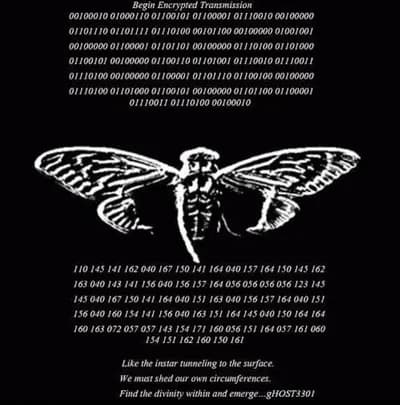 Preview of VXSPOT PROJECT | BACK | MOBILE VERISON