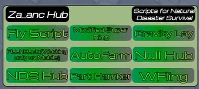 Preview of Natural Disaster Survival Script Hub