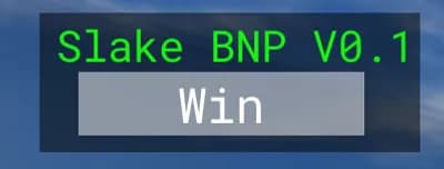 Preview of Slake BNP (Win)