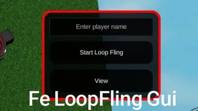 Preview of LoopFling Gui
