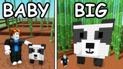 Preview of SiurekHub | AutoHatch, AutoPlace, AutoBuy Eggs 