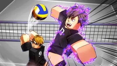 Preview of Napoleon Hub | Volleyball Legends 