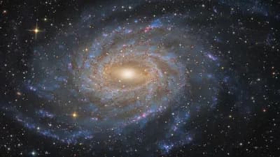 Preview of (KEYLESS) UNC Check Script