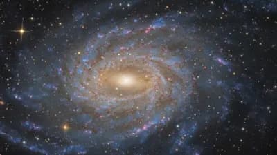 Preview of (KEYLESS) Invisible Script*not FE