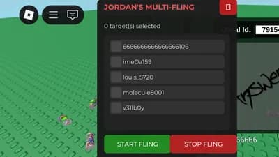 Preview of Multi fling