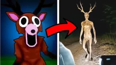 Preview of 99 nights in the forest