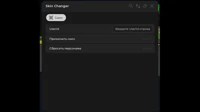 Preview of Skin Changer Roblox V1.0