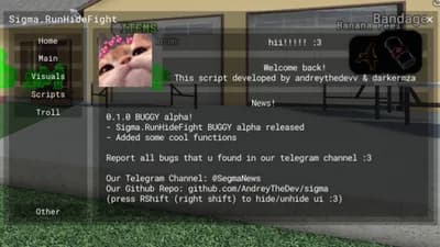 Preview of SIgma.RunHideFight