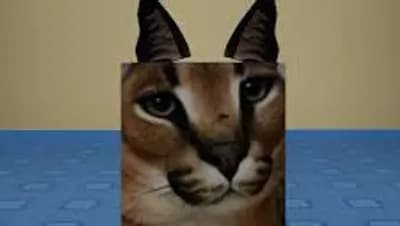 Preview of Piano AUTOPLAYER no KEY