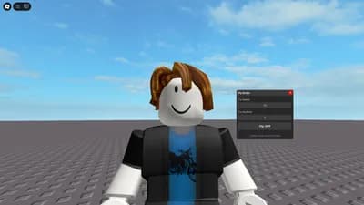 Preview of Fly script