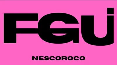 Preview of Nfly Gui V1