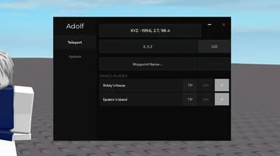 Preview of Live Coordinates w/ Teleport