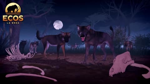 Preview of Ecos : La brea