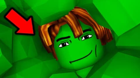 Preview of Fluxin Hub: Auto Roll, Filter, Reach & Solara Support