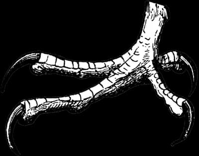 Script preview thumbnail