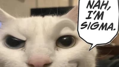 Script preview thumbnail