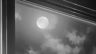 Script preview thumbnail